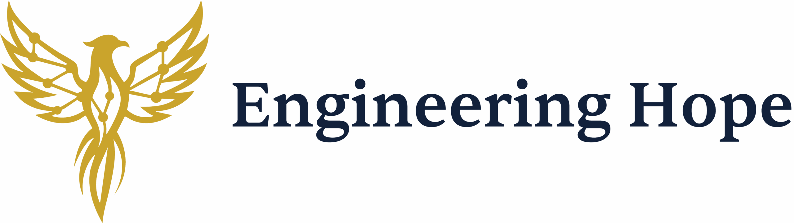 Engineering Hope
